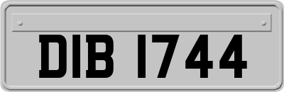 DIB1744