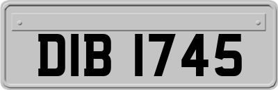 DIB1745