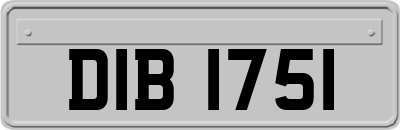 DIB1751