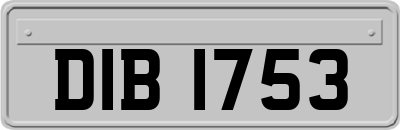 DIB1753
