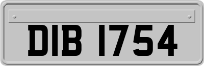 DIB1754