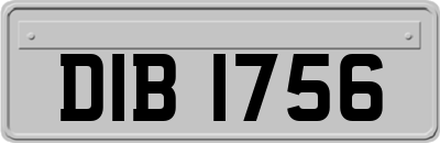 DIB1756