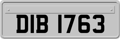 DIB1763