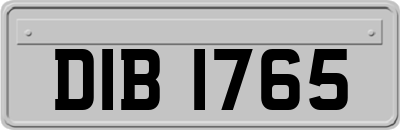 DIB1765