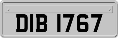 DIB1767