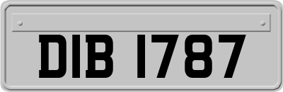 DIB1787