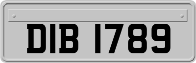DIB1789