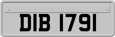 DIB1791