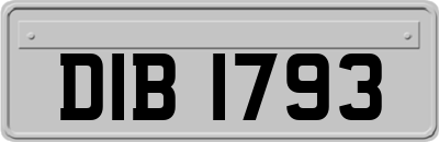 DIB1793