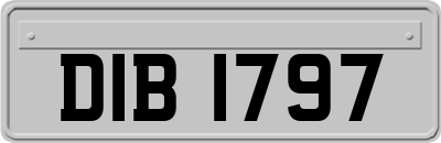 DIB1797