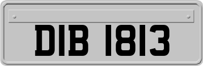 DIB1813