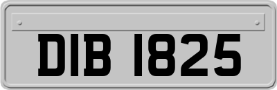 DIB1825