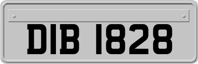 DIB1828
