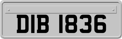DIB1836