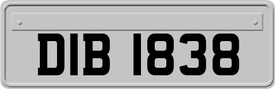 DIB1838