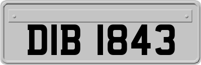 DIB1843