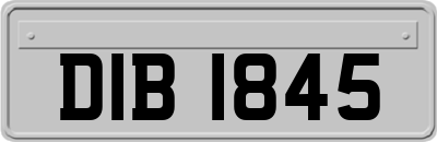 DIB1845