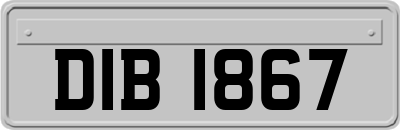 DIB1867