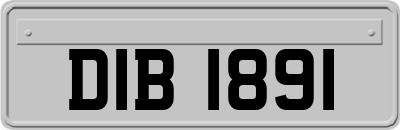 DIB1891