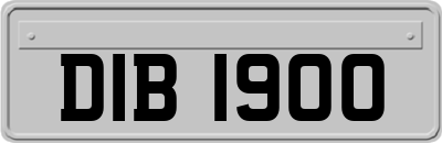 DIB1900