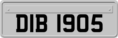 DIB1905
