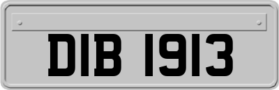 DIB1913