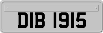 DIB1915