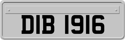 DIB1916