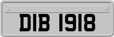 DIB1918