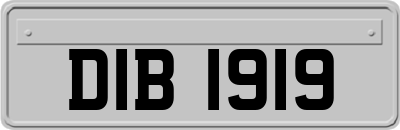 DIB1919
