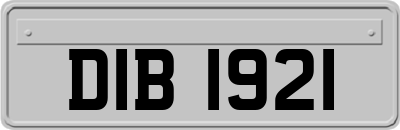 DIB1921