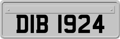 DIB1924