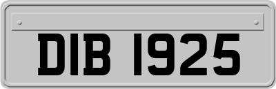 DIB1925