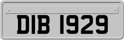 DIB1929