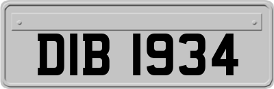 DIB1934