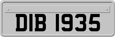DIB1935