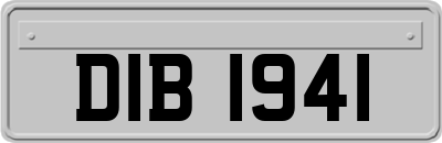 DIB1941