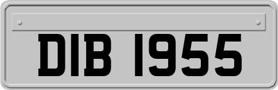 DIB1955