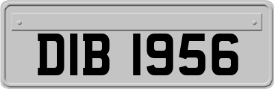 DIB1956