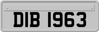 DIB1963