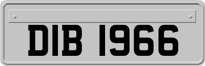 DIB1966