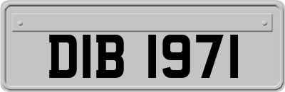 DIB1971