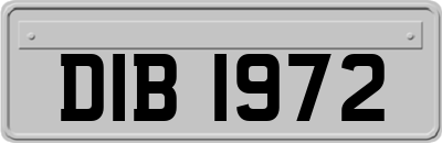 DIB1972