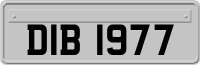DIB1977