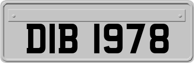 DIB1978