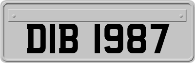 DIB1987