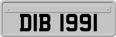 DIB1991