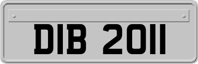 DIB2011