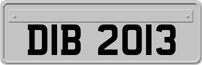 DIB2013