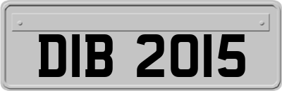 DIB2015